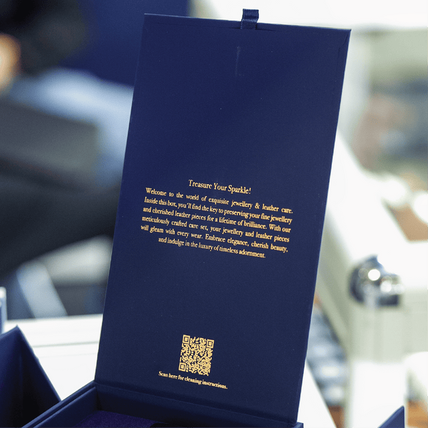 JEWELLERY AND LEATHER CARE SET