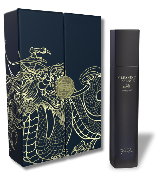 JEWELLERY AND LEATHER CARE SET